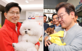 반려동물,동물,사람,표준,공약,후보,지원,인구