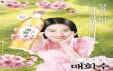 하이트진로,리뉴얼,제품