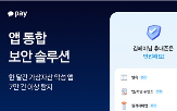 가상자산,카카오페이,악성