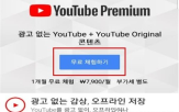 유튜브,공정위,프리미엄,구글,동의의결,뮤직,구독,결정,소비자