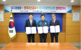 법률,범죄