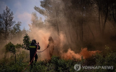 산불,그리스,훈련,드론,소방,대응,피해,감시