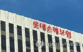경과조치,적용,한신평,지속
