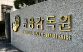 책무,배분,책무구조,금감원,각자대표,내부통제,임원,이사회