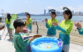 플라스틱,세즈