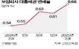 대비,비율,포인트