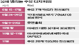 정상회의,대통령,정상,외교,무대