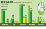 매출,지난해,영업이익,전년,실적,대비,마케팅,전략,순이익