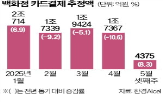 백화점,추정액,결제,대비,카드