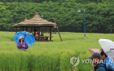 오전,제주,수도권