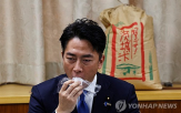 고이즈미,정책,쌀값,농림상,일본,농업,정부,의원,자민당,총리