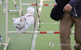 영업장,설치,반려동물,의무,경우