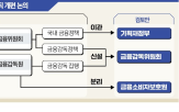 감독,정책,기능,조직,금감위,금융위,분리,금융당국,금감원