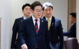 조직