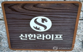 발행,후순위채,신한라이프,규모