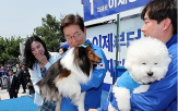 동물,복지,공약,정책,대통령,관련,정부