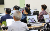고령자,운전자,운전면허,이동,로보택시,면허반납,건수,이상,사고