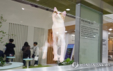 마이크로,디스플레이,시장,활용,비용,제품,미래,출시,삼성전자