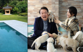 관저,수영장,의원,대통령,시설,민주당,수돗물
