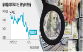 규모,추경,달러,환율,외국인,대통령,정부,전망
