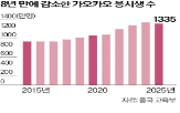 중국,가오카오,명문대,대학,취업난,응시생,올해,감소