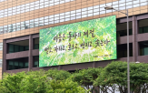 여름,문안