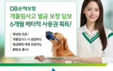 벌금,보장,반려동물
