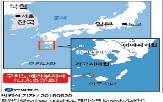 분화,단계,화산섬,일본