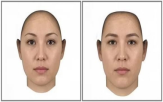 얼굴,여성,참가자,연구,성별