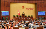 행정구,정부,베트남,광역
