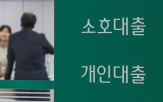 대출,규제,가계대출,주택담보대출,증가,은행