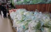 배추,생산량,작년,수급,여름,재배,가격,정부,면적