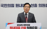 원내대표,의원,제안,투표