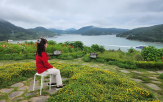 고양이,쑥섬,주민,사람,사료,마을,다시,가장