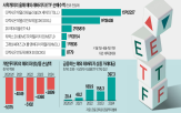 상품,해외,투자,투자자,레버리지,고위험,데일리,해외파생상품,테슬라