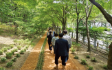 산책로,한밭수목원,수목원,조성,대전시