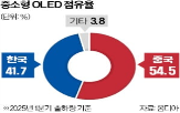특허,기업,중국,디스플레이,소송,침해