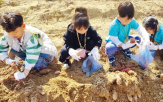 마을,체험,방문객,역사,문화,치유,안동