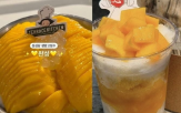 빙수,성심,애플망고,샴페인,망고