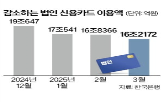 기업,신용카드,법인,개인,대비,이용액,카드