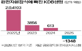 증자,생명,산은,1조,방안