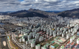 위주,상승,집값,거래,서울,단지,지역,노원구