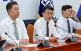 인사청문회,민주당,이번,정부,개정,검증