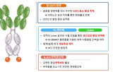 미국,지아이이노베이션,효과,글로벌,등록결정,면역항암제,기술이전
