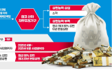 채무조정,지원,이하,상환능력,매입,채무,원금,연체,대상