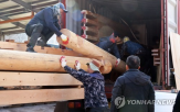 적용,건물,주택,목재,탄소,보고서,부문,대비,건설,사업