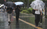 제주도,전국