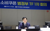 지급,소비쿠폰,정부,국민