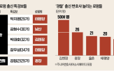 특검보,로펌,검찰,출신,수사,경찰,내란,사건,형사,대형