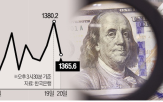 정부,환율,금리,만기,미국,포인트